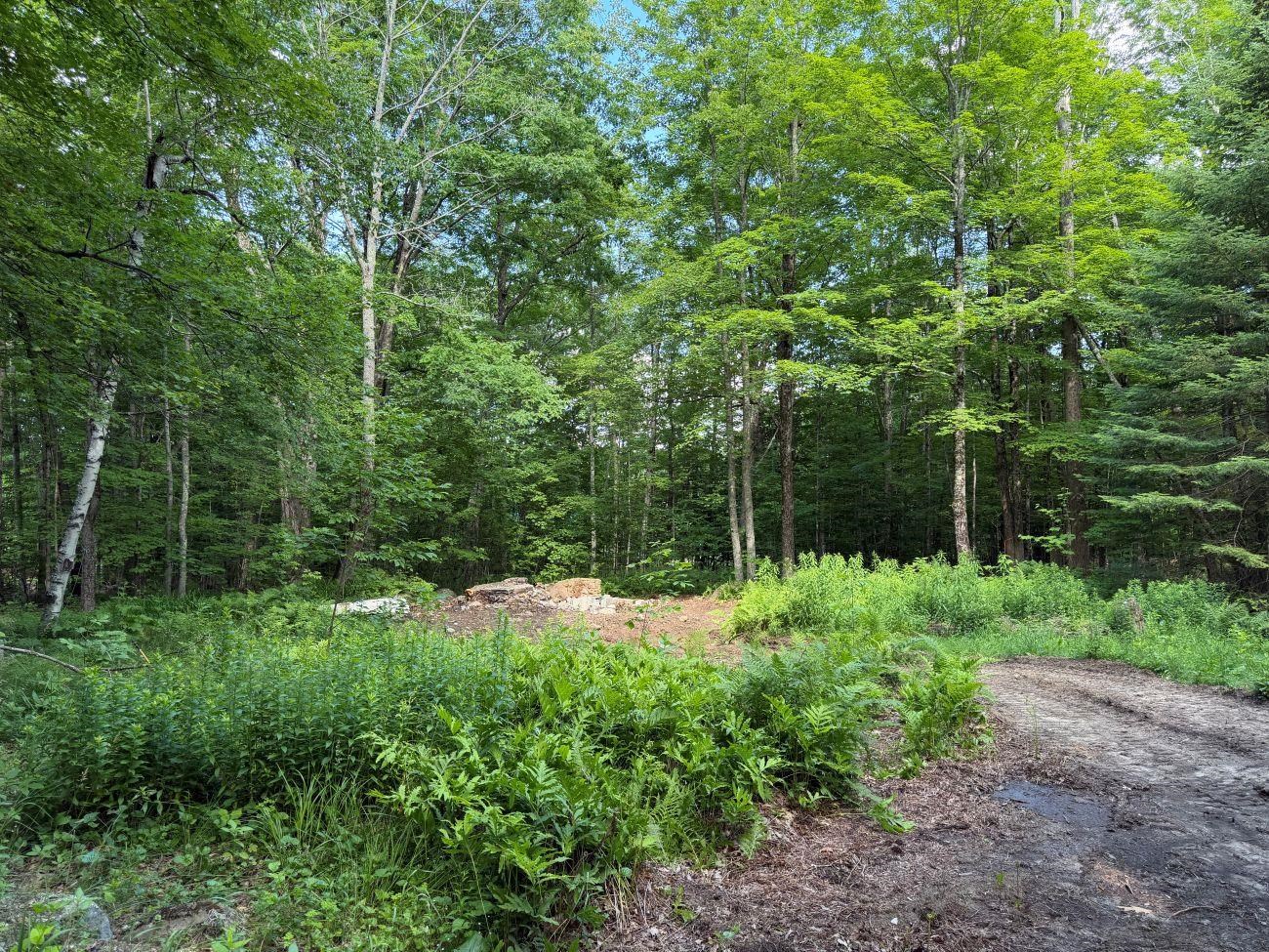 550 Kings Highway Stoddard, NH 03464 - Photo 9 of 17