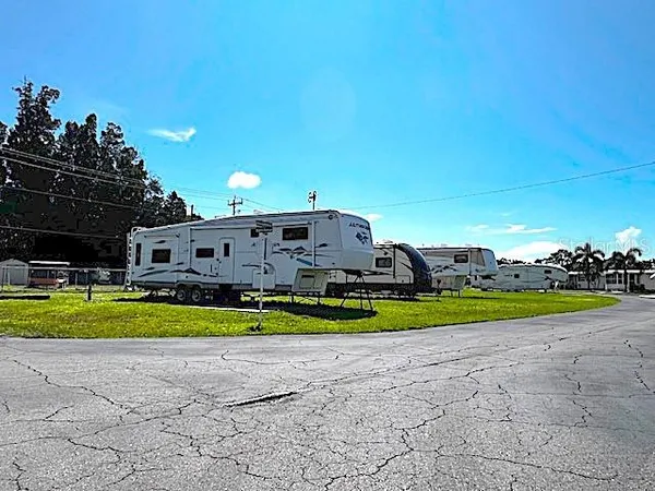 a view of a big room with a big yard and potted plants and large trees