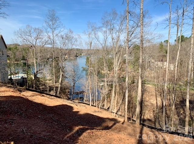 29010 Silver Fox Drive Tega Cay, SC 29708 - Photo 12 of 21 Gallery Image 12