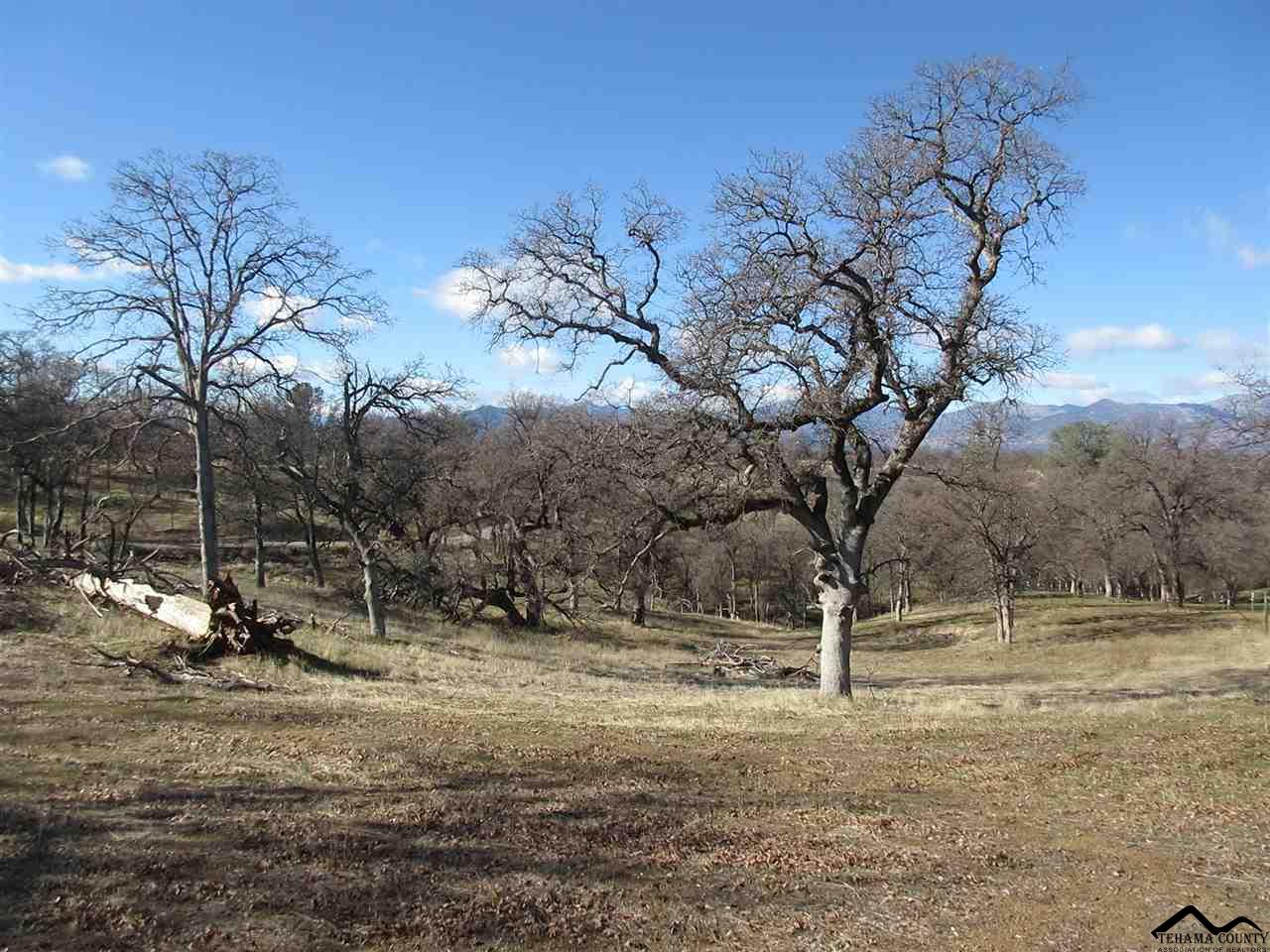 5 Gas Point Road Igo, CA 96047 - Photo 3 of 9 Gallery Image 3