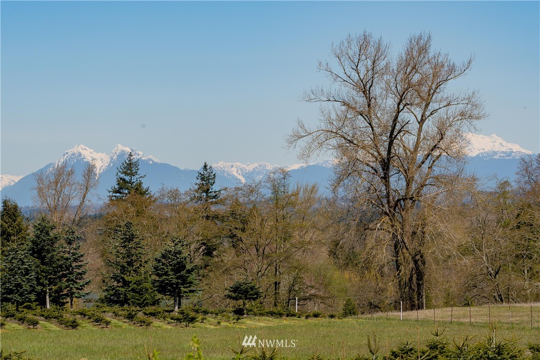 2555 Brown Road Ferndale, WA 98248 - Photo 17 of 26