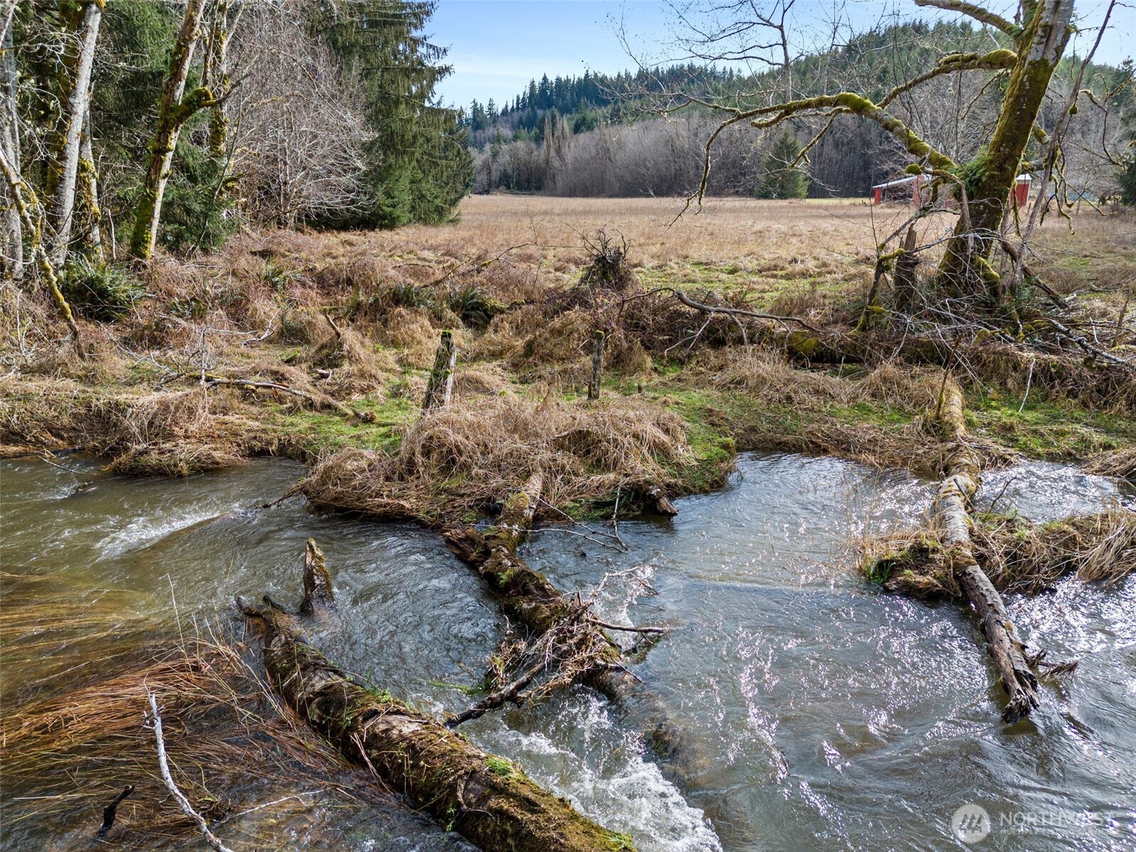 338 Rue Creek Road Raymond, WA 98577 - Photo 7 of 17 Gallery Image 7