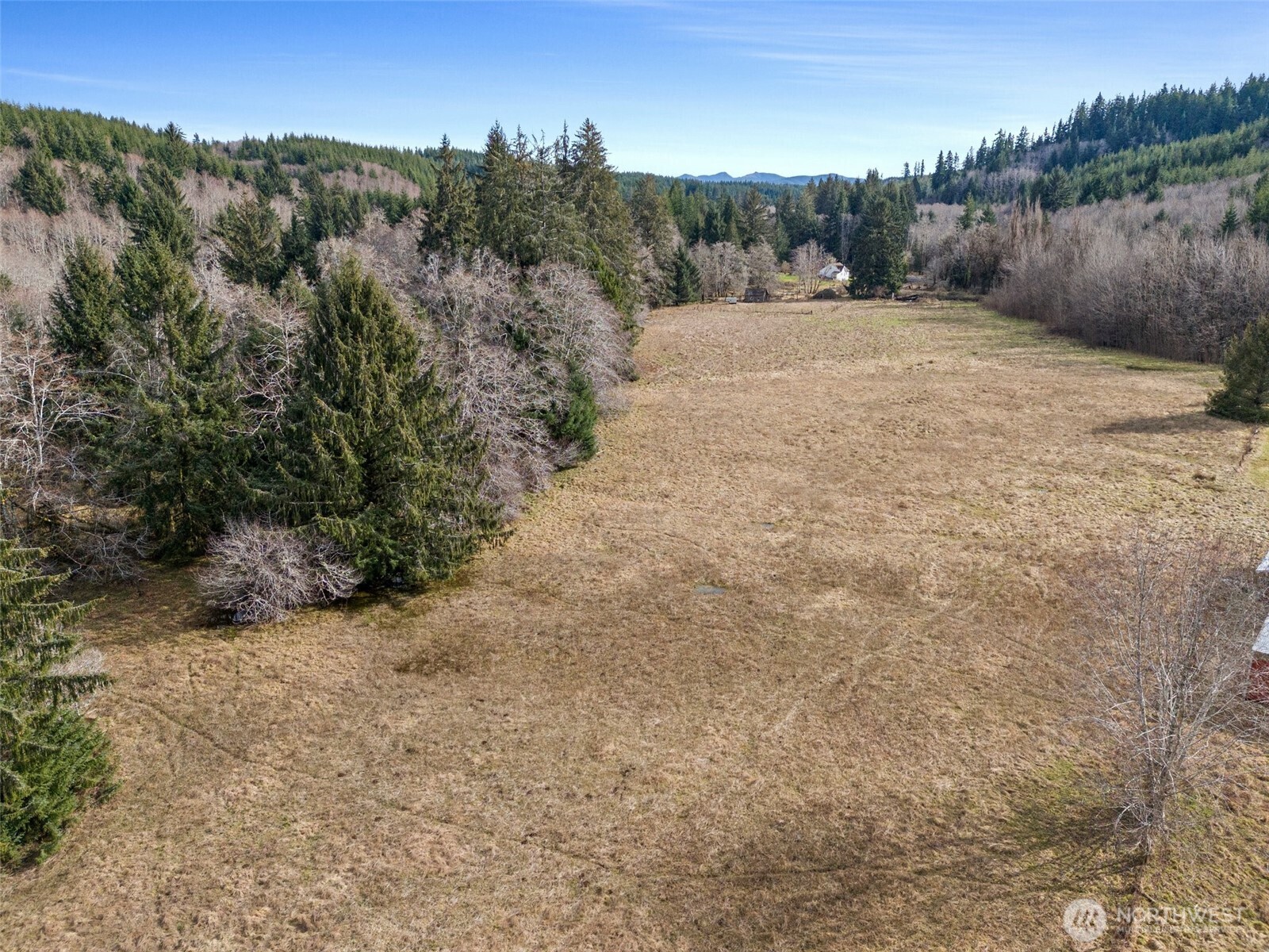 338 Rue Creek Road Raymond, WA 98577 - Photo 9 of 17 Gallery Image 9