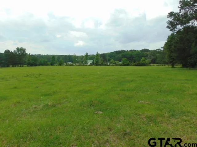 a view of an ocean from a yard