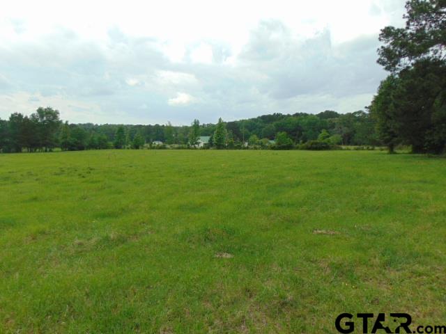 2585-c R 3212th Jacksonville, TX 75766 - Photo 11 of 30 a view of an ocean from a yard