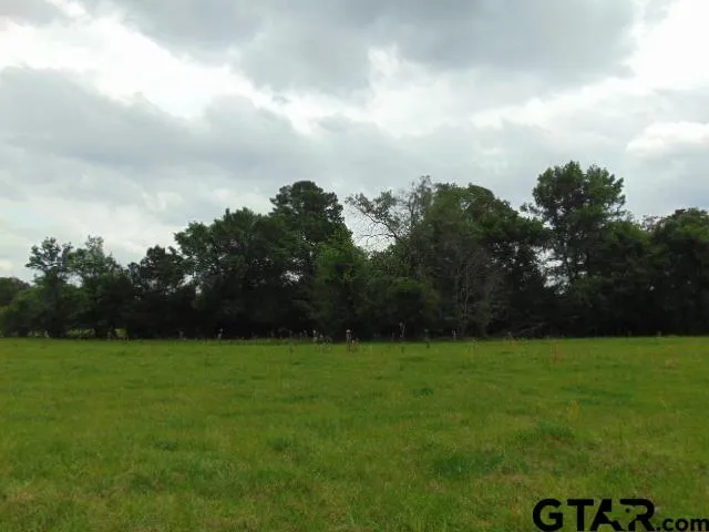 a view of a field of grass and trees