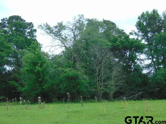 a view of outdoor space with deck and yard