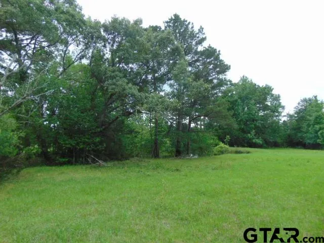 a view of an outdoor space and a yard