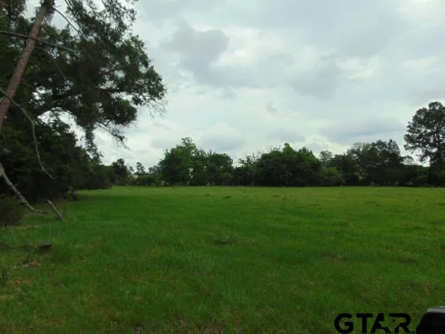 a view of field with green space
