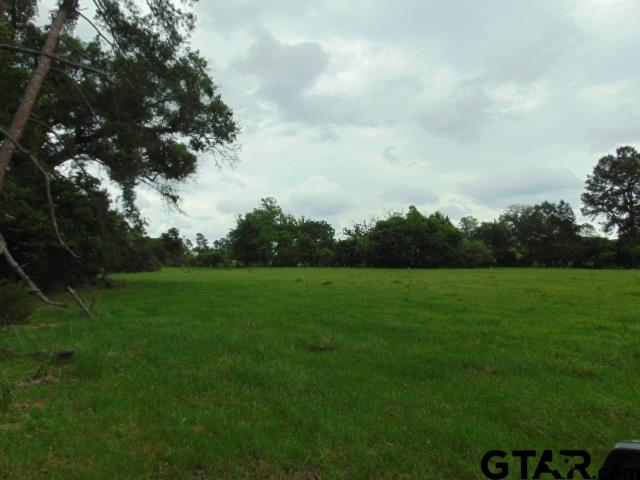 2585-c R 3212th Jacksonville, TX 75766 - Photo 15 of 30 a view of field with green space