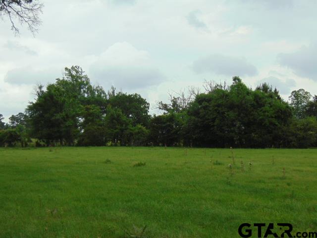 2585-c R 3212th Jacksonville, TX 75766 - Photo 16 of 30 a view of a grassy field with trees