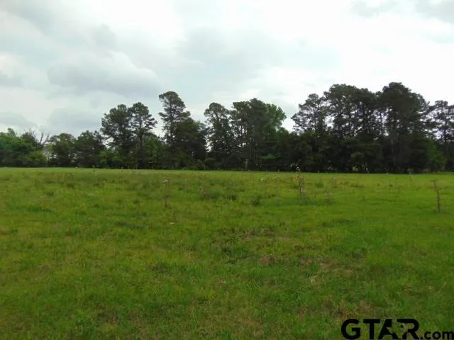 a view of a field with trees in the background