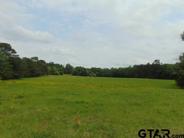 a view of an ocean from a yard