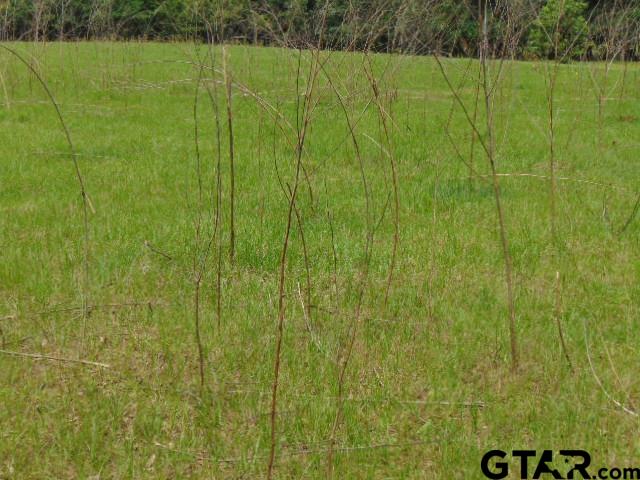 2585-c R 3212th Jacksonville, TX 75766 - Photo 20 of 30 a view of a field