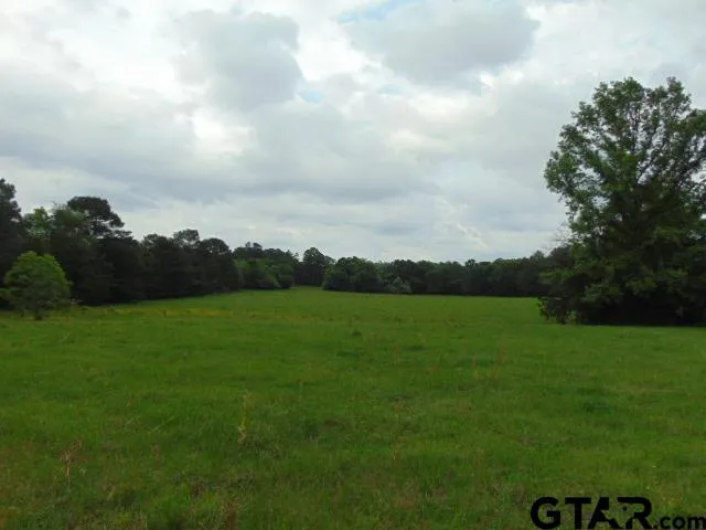 a view of field with grass and trees