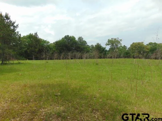a view of yard with swimming pool and trees in the background