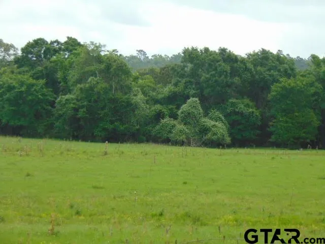 a view of field with trees in the background