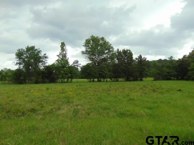 a view of field with green space