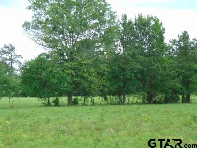 a view of a park with trees in the background