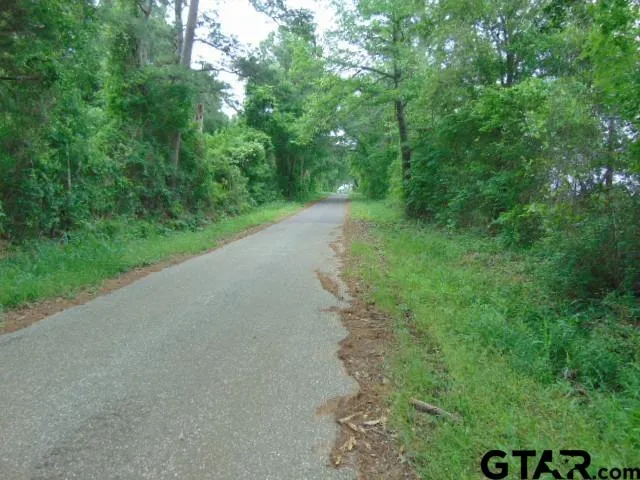 a view of a forest with trees