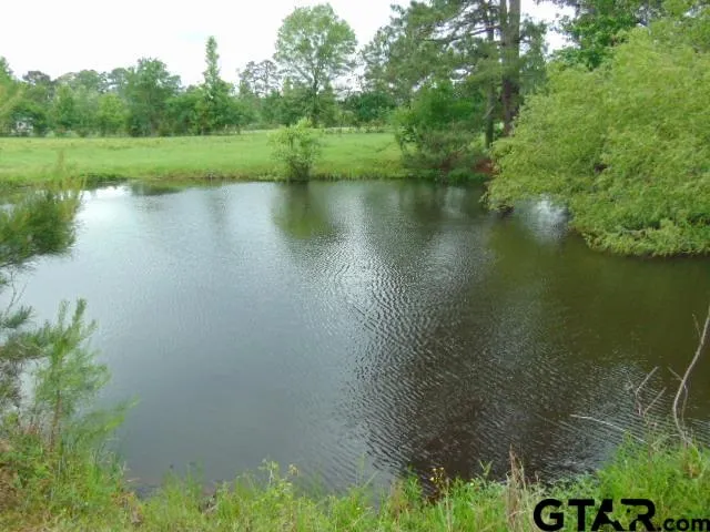 a view of a lake with a yard and large trees