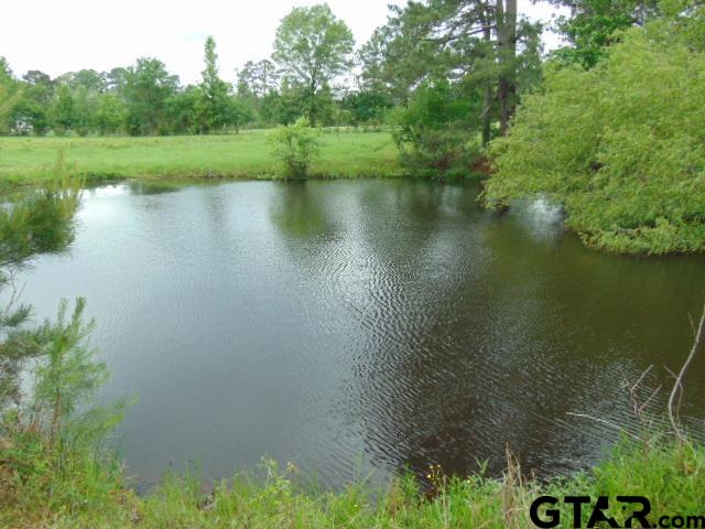 2585-c R 3212th Jacksonville, TX 75766 - Photo 5 of 30 a view of a lake with a yard and large trees