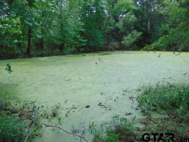 a view of a green field with trees in the background
