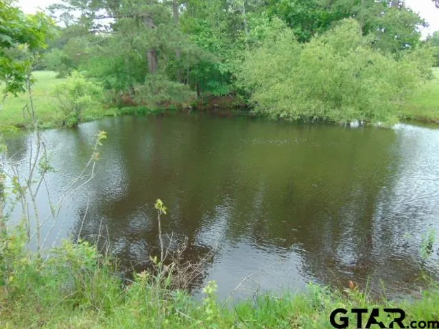 a view of a lake from a yard