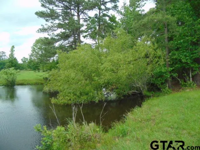 a view of a lake view with a garden