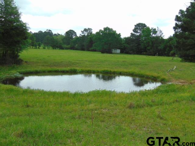 2585-c R 3212th Jacksonville, TX 75766 - Photo 10 of 30 a view of a golf course with a lake