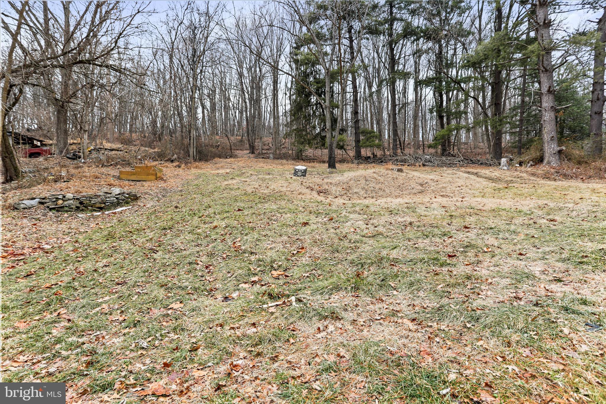 6906 Mariah Furnace Road Boonsboro, MD 21713 - Photo 36 of 38 a backyard of a house with trees