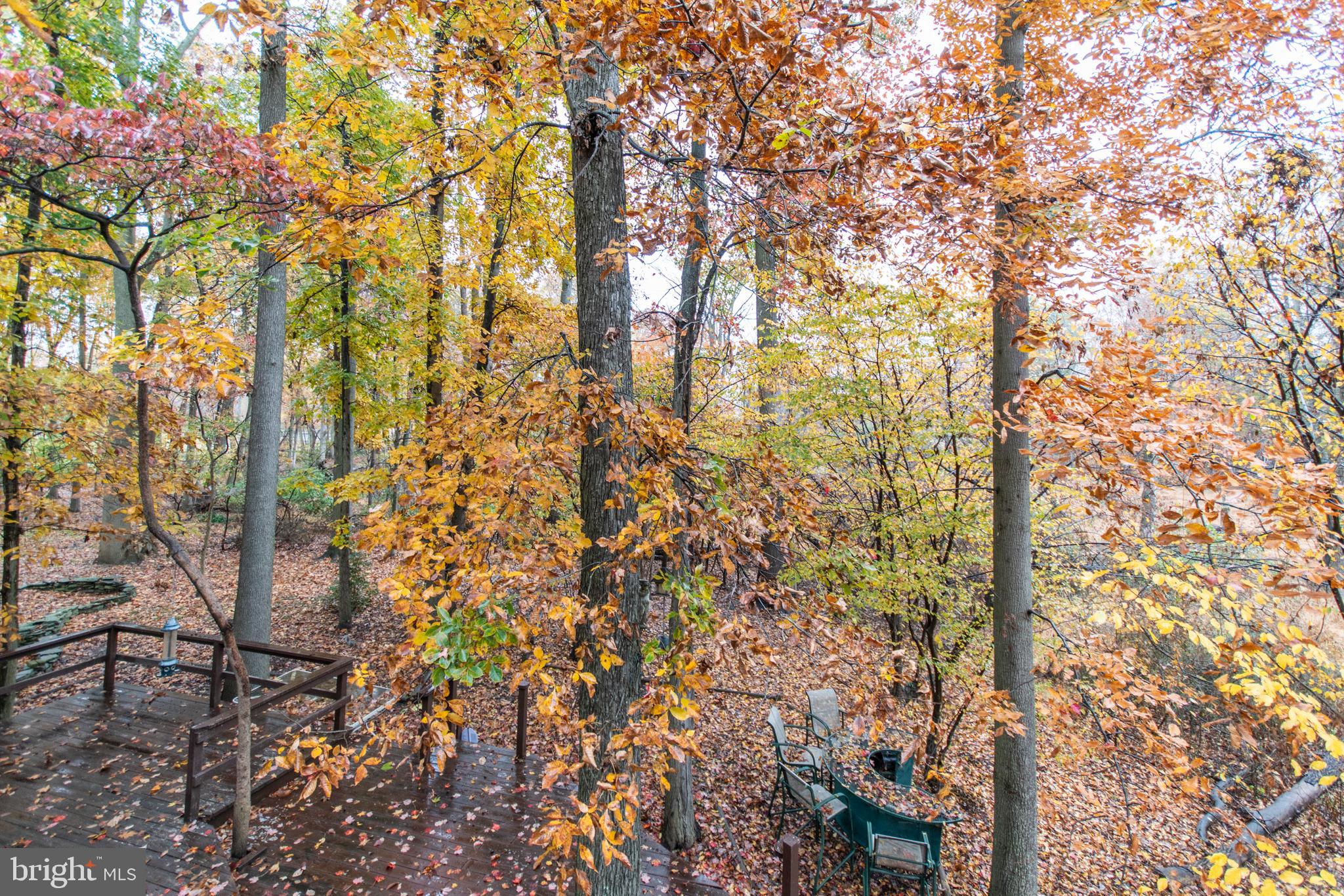 78 Ark Road Lumberton, NJ 08048 - Photo 31 of 39