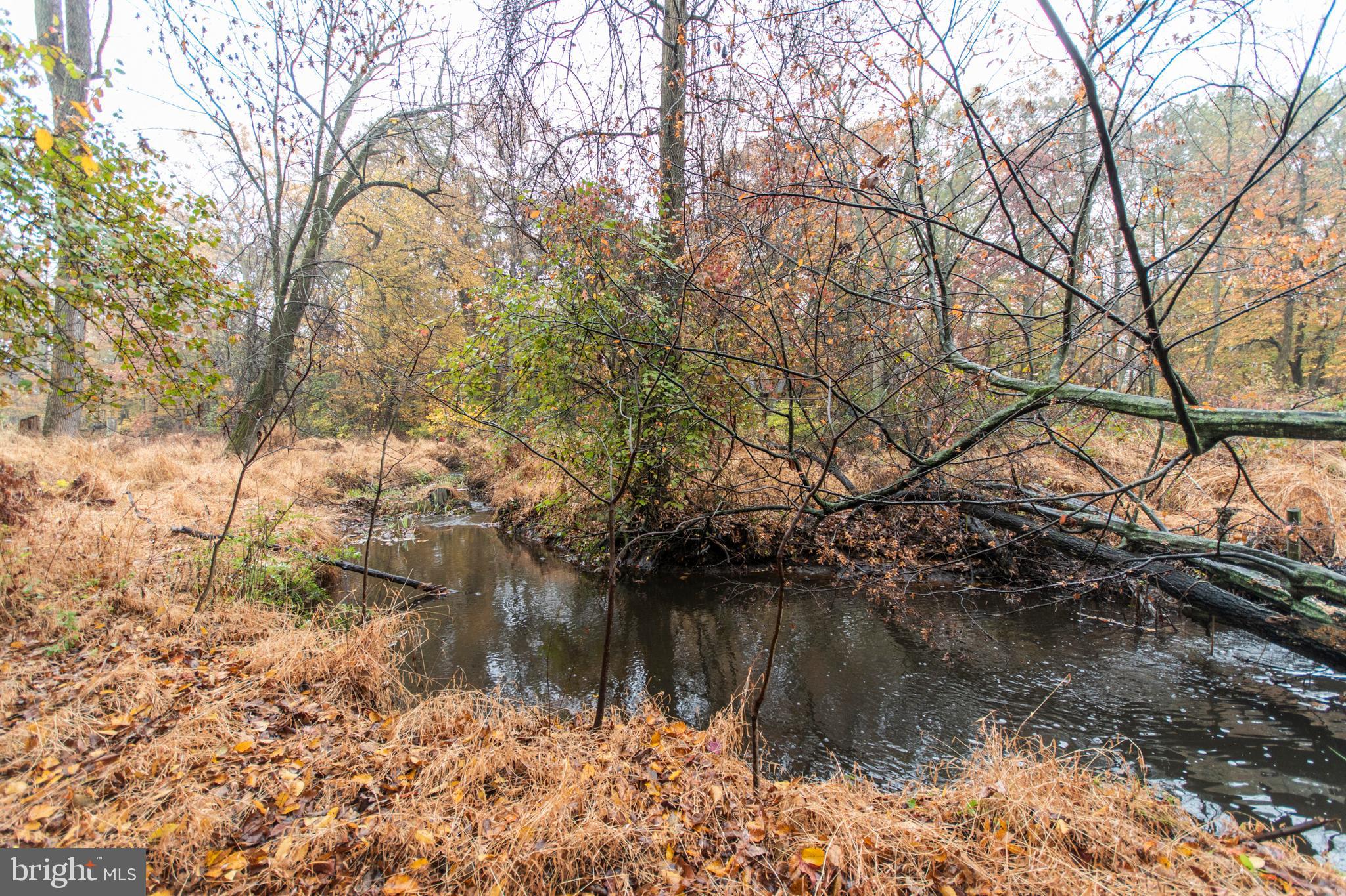 78 Ark Road Lumberton, NJ 08048 - Photo 35 of 39