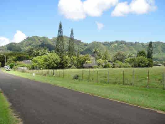 Holio Road Kapaa, HI 96746 - Photo 3 of 11 a view of a golf course with a street