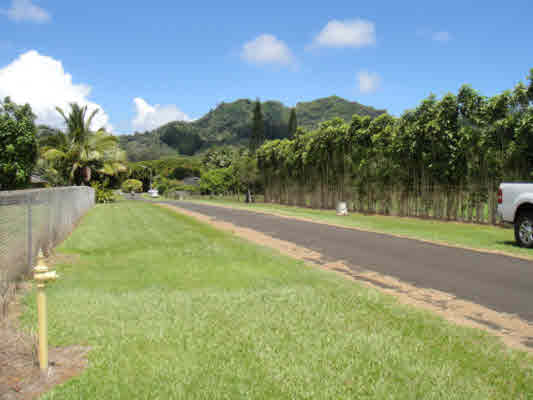 Holio Road Kapaa, HI 96746 - Photo 4 of 11 a view of a yard