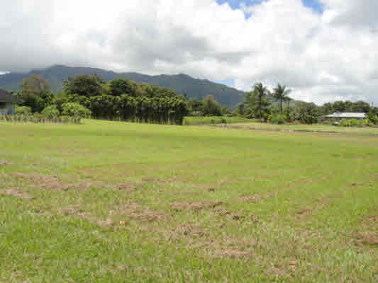 Holio Road Kapaa, HI 96746 - Photo 7 of 11 a view of an ocean and a mountain