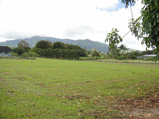 Holio Road Kapaa, HI 96746 - Photo 8 of 11 a view of an ocean from a yard