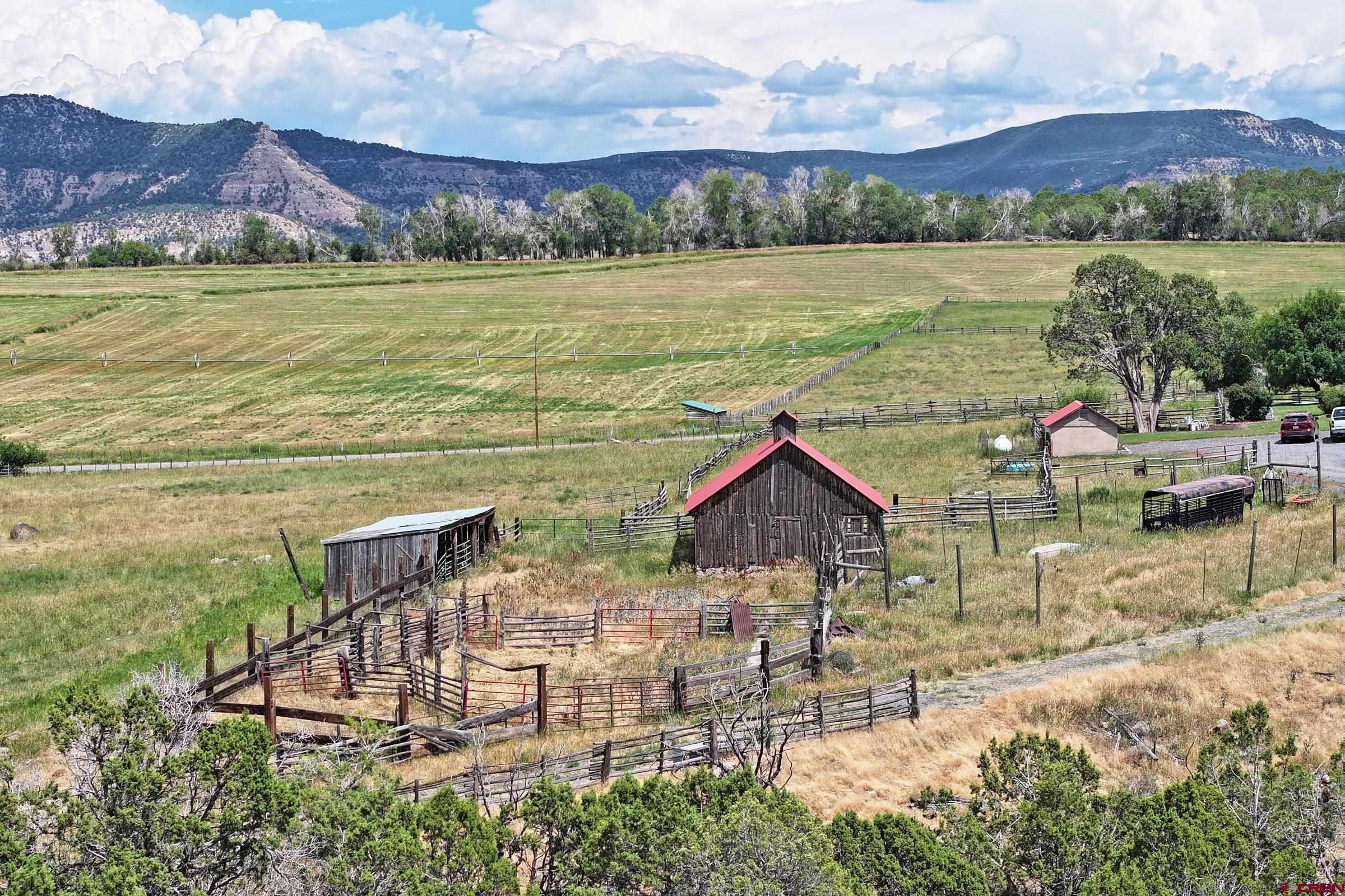 13715 58 Road Collbran, CO 81624 - Photo 23 of 34 Gallery Image 23