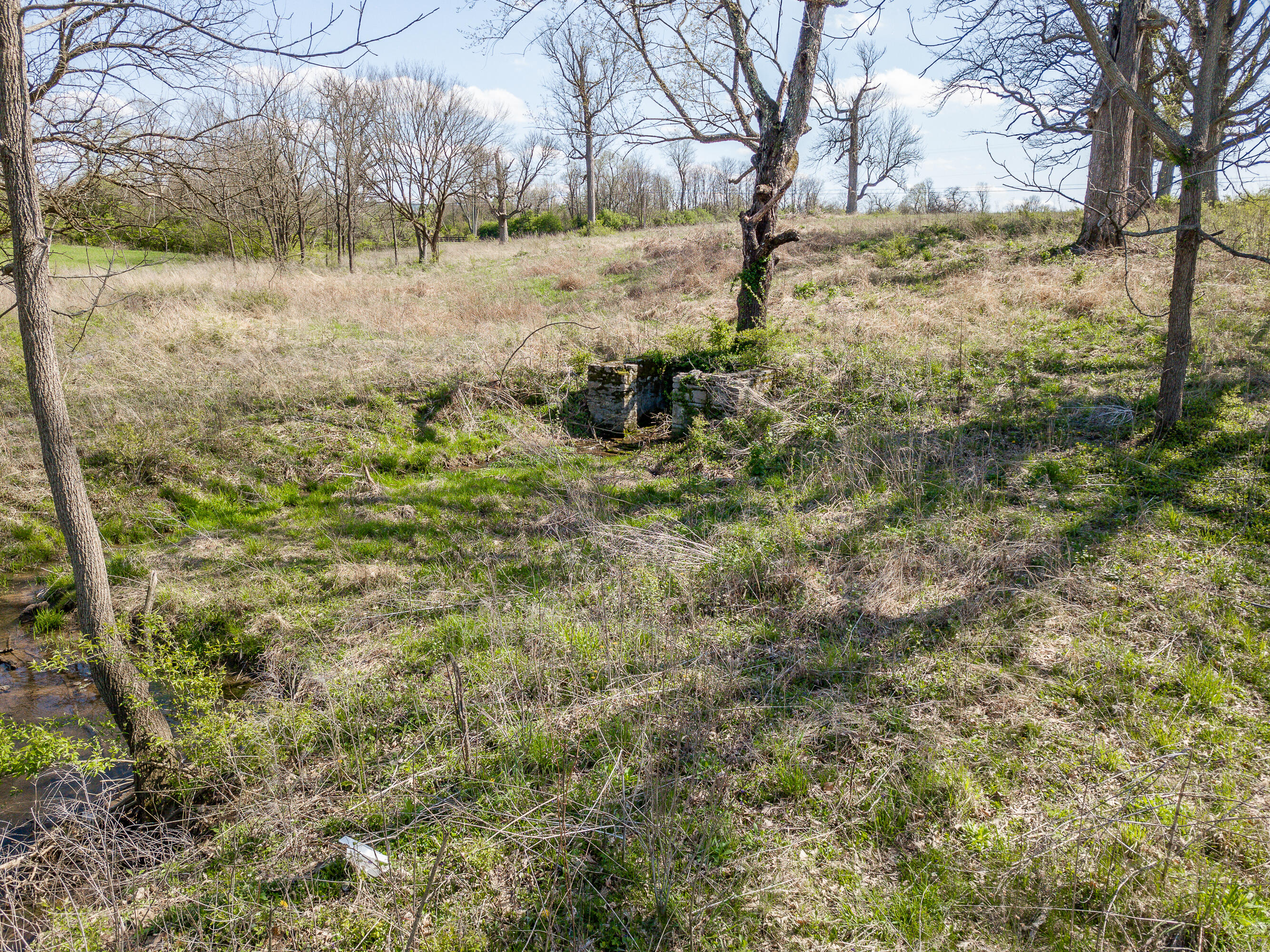 1200 Clifton Road Versailles, KY 40383 - Photo 9 of 13 1-11