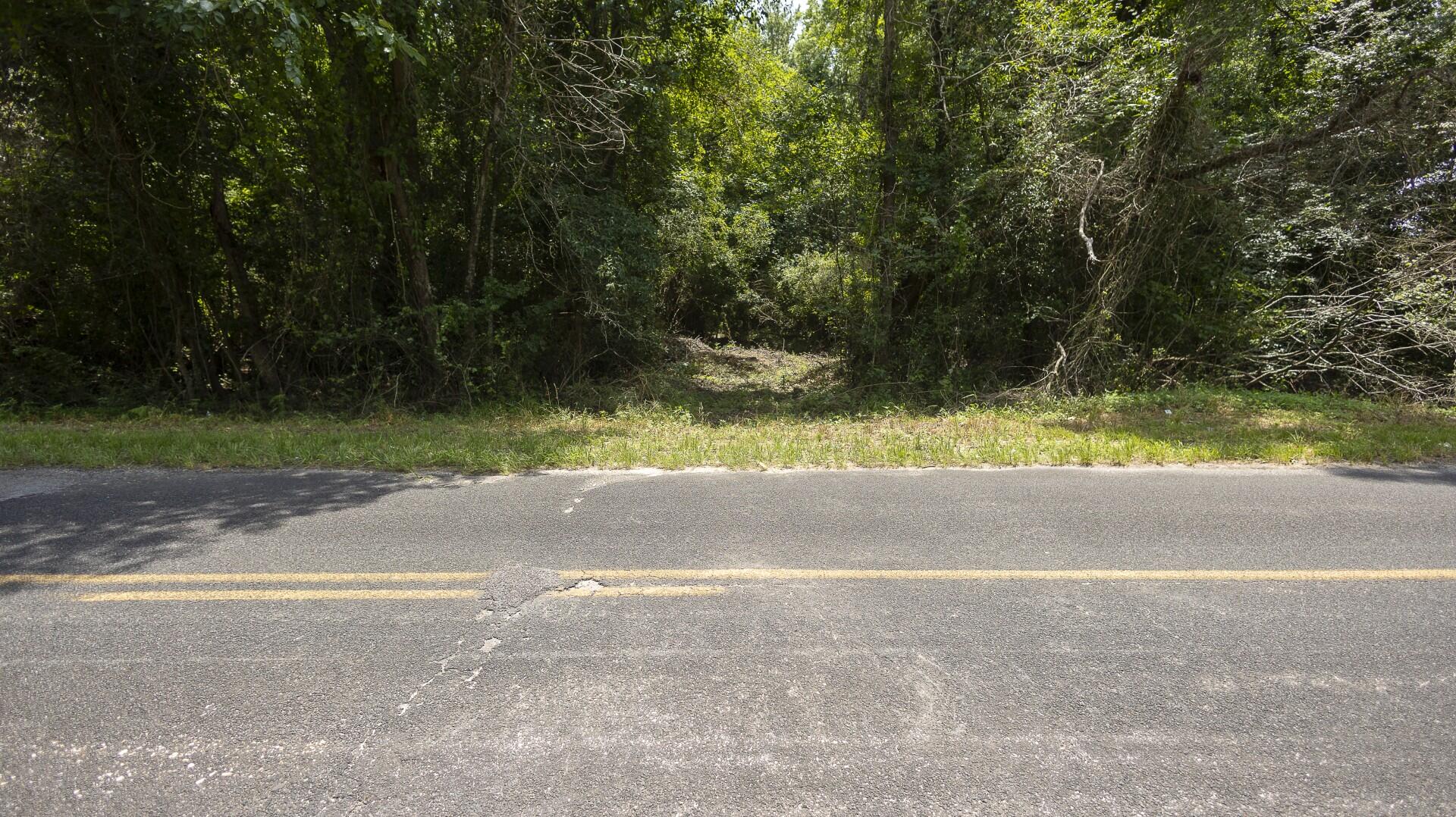 2 Joseph Lemon And Dingle Road Manning, SC 29102 - Photo 6 of 44
