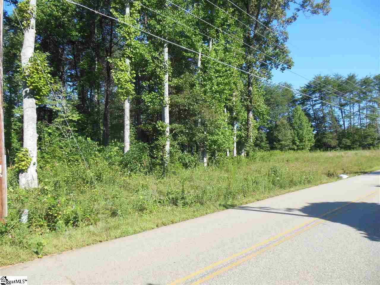 343 Pace Valley Road Easley, SC 29640 - Photo 3 of 10