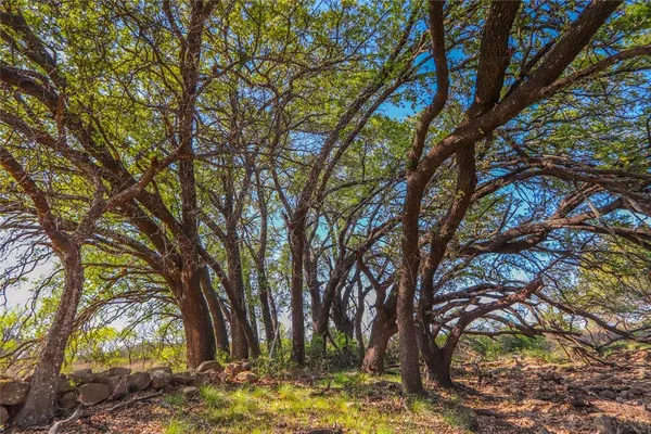 $1,076,700 | 404 Valera Tx 76884, Talpa, TX 76882