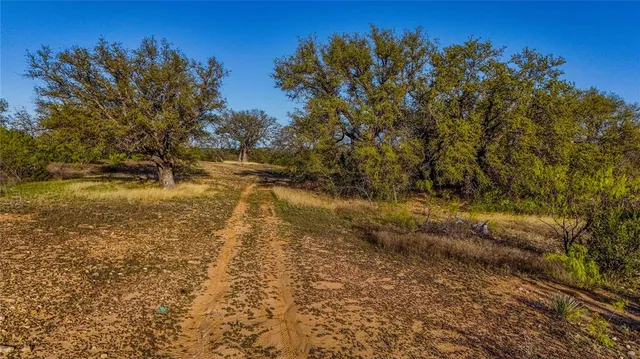 a view of a yard with an outdoor space