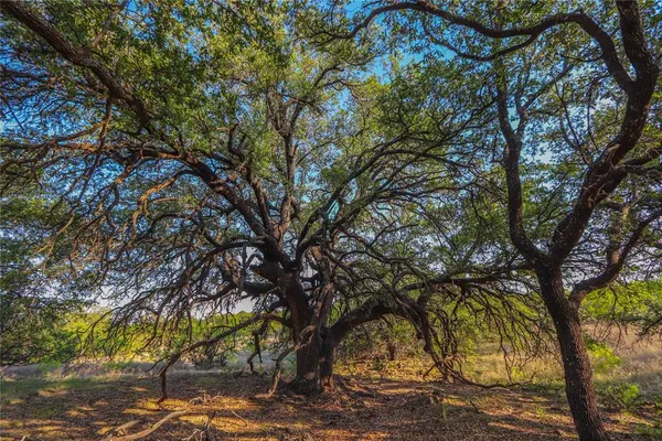 $1,076,700 | 404 Valera Tx 76884, Talpa, TX 76882