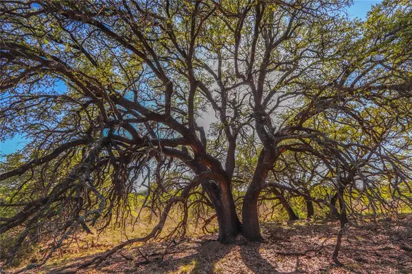 $1,076,700 | 404 Valera Tx 76884, Talpa, TX 76882