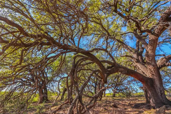 $1,076,700 | 404 Valera Tx 76884, Talpa, TX 76882