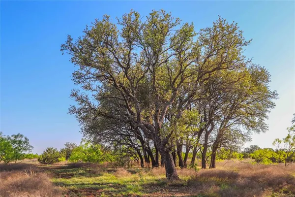 $1,076,700 | 404 Valera Tx 76884, Talpa, TX 76882