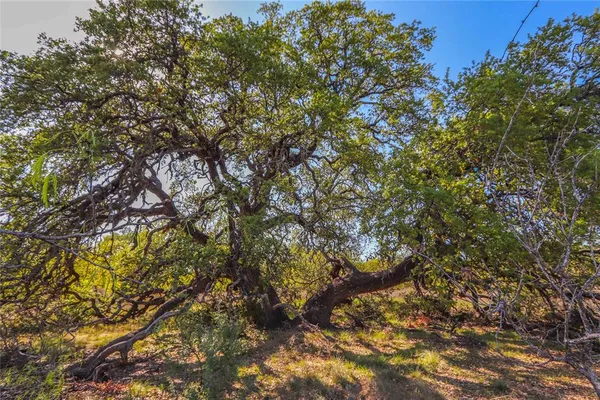 $1,076,700 | 404 Valera Tx 76884, Talpa, TX 76882