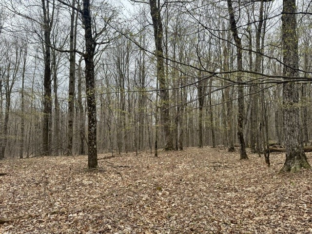 Lot 4 Shaver Hill Road Meridale, NY 13806 - Photo 16 of 44