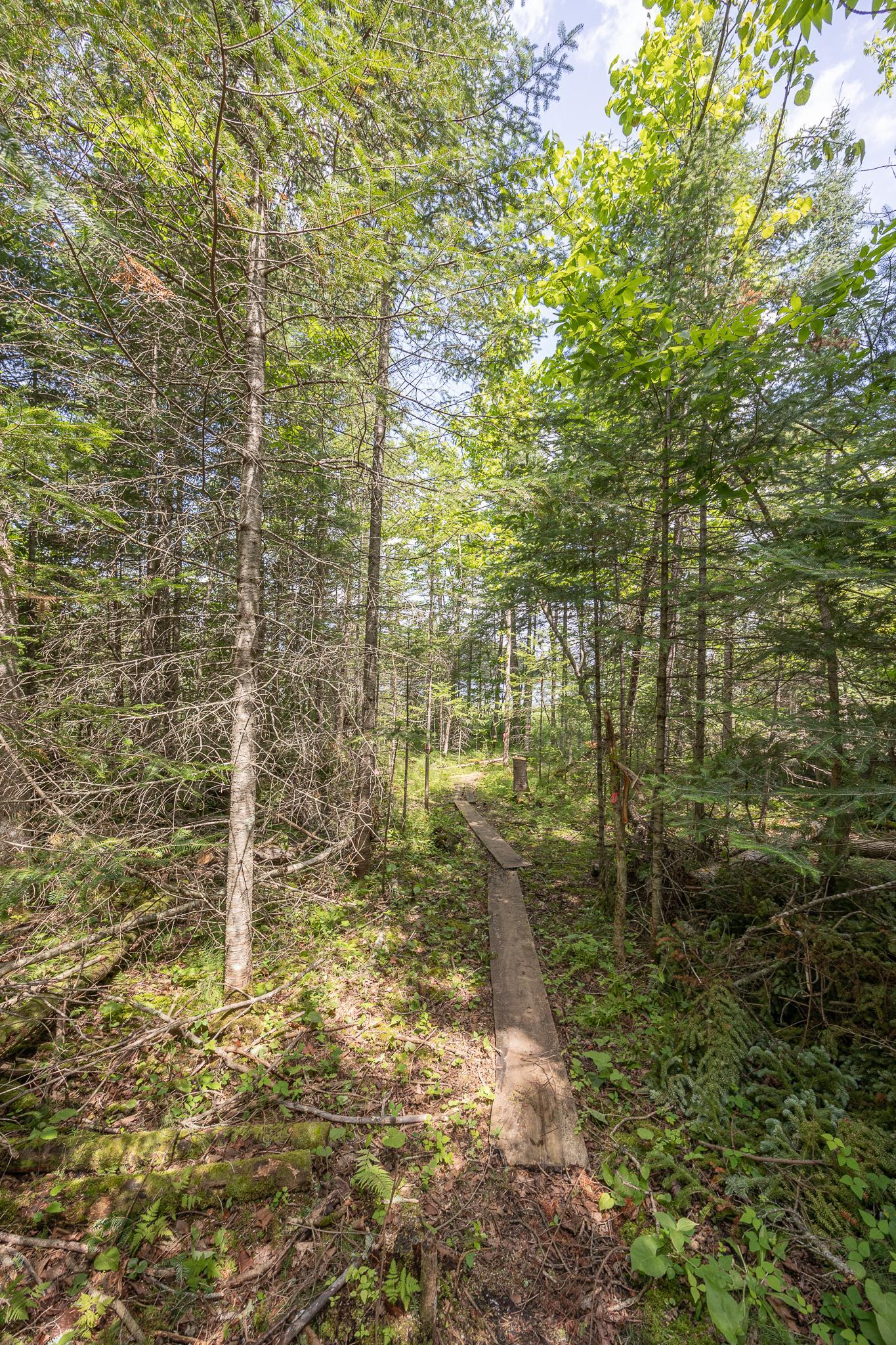 2018 County 5 Street Northwest Hackensack, MN 56452 - Photo 67 of 77